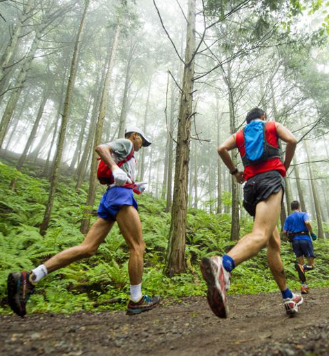 Лесной Маршрут